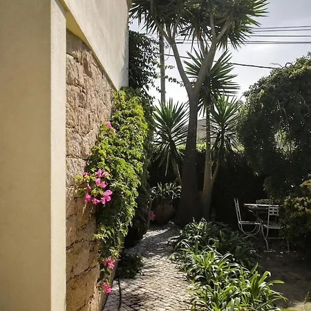 Дом отдыха Roca Art House *